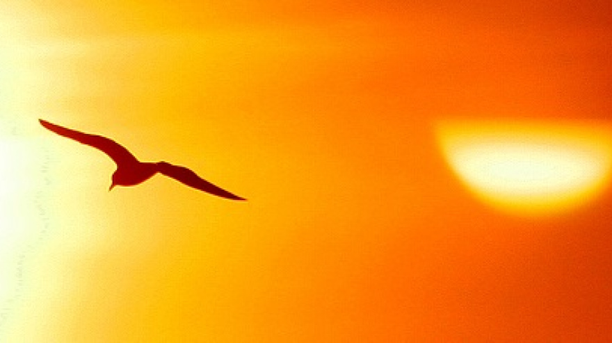 El Mirall de l'Església 10 de abril de 2026