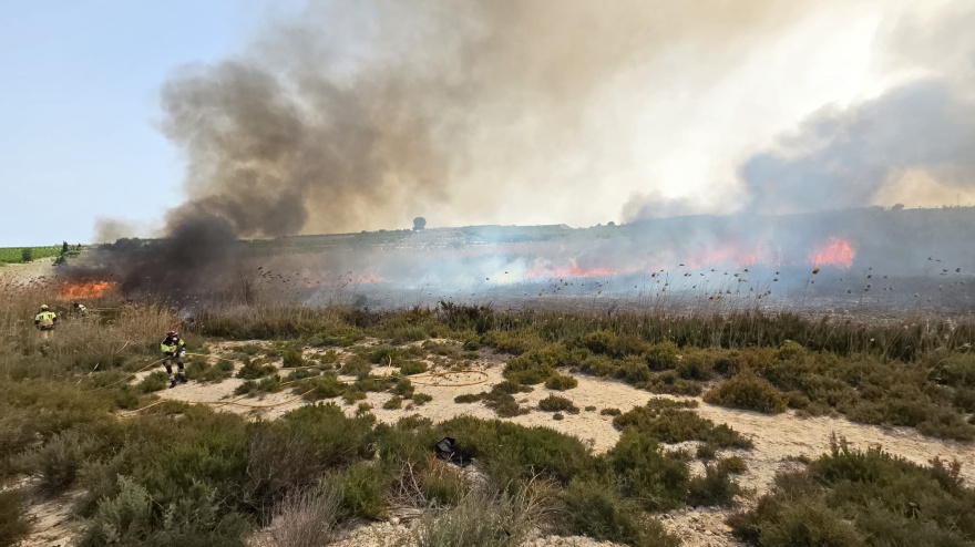 Vídeo de los bomberos