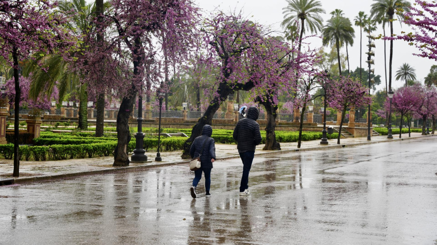 Paseo bajo la lluvia