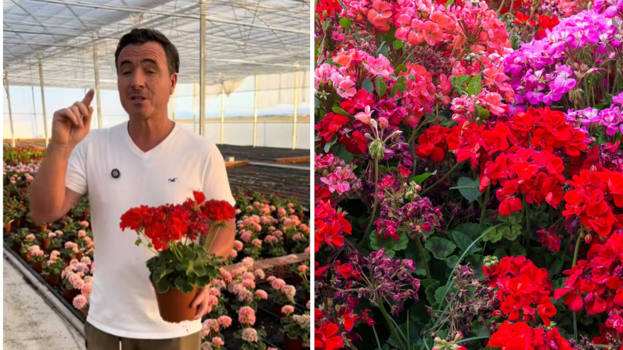 Ángel Illescas, experto en plantas