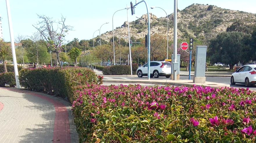 Rafael Alemañ, concejal de Parques y Jardines: "Estas actuaciones, que se han desarrollado de forma coordinada en todos los barrios".