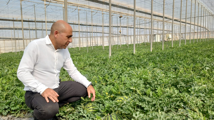 Campaña NO CORTES EN VERDE