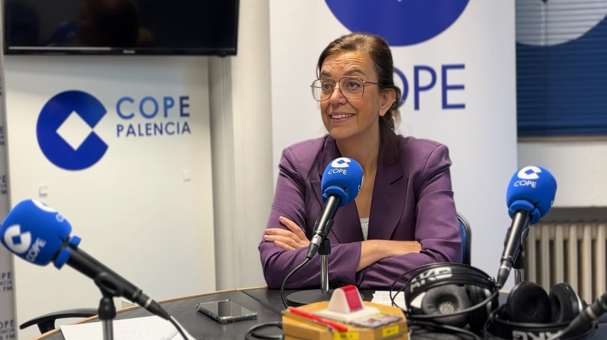 La presidenta de la Diputación de Palencia, Ángeles Armisén