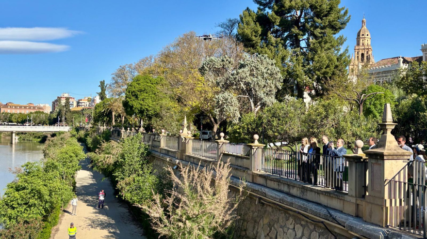 Presentación campaña mosquito y mosquito tigre