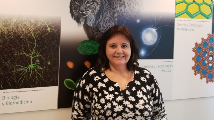Laura López Mascaraque, doctora en neurociencia, profesora de investigación del CSIC y presidenta de la Red Olfativa Española