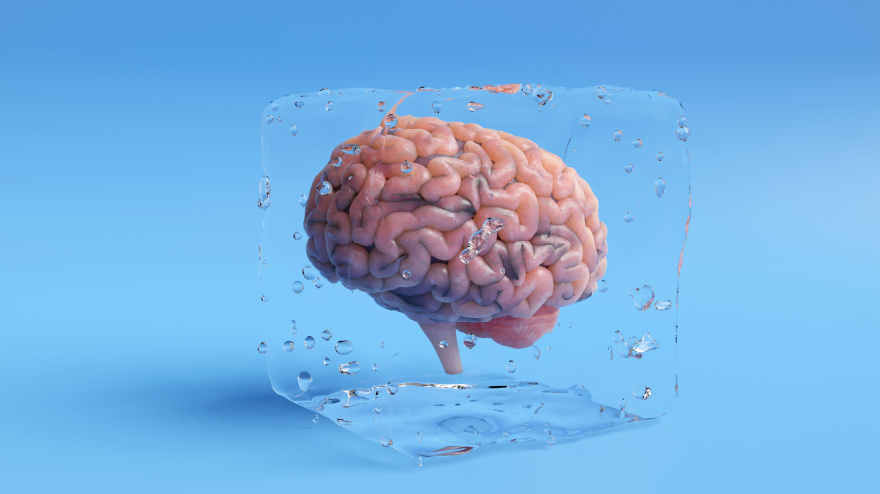 Cerebro humano en un cubo de hielo transparente