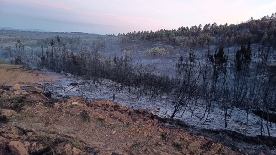 Incendio forestal en Acebo