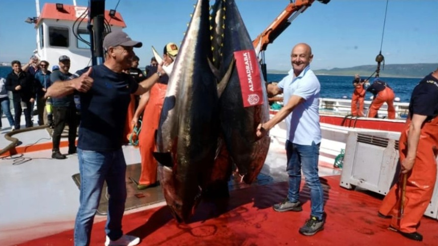 Levantá de la almadraba de Petaca Chico