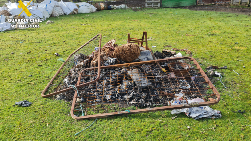 Animales muertos en explotación agraria