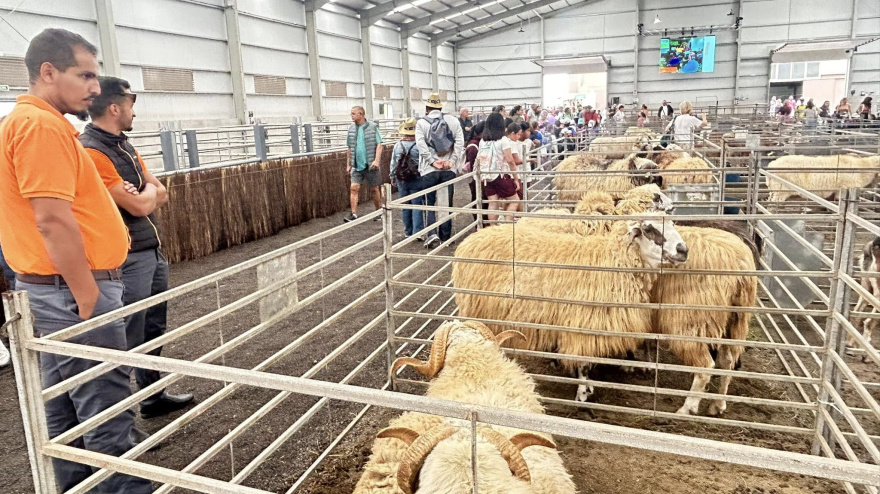 Nueva edición de FEAGA en Fuerteventura