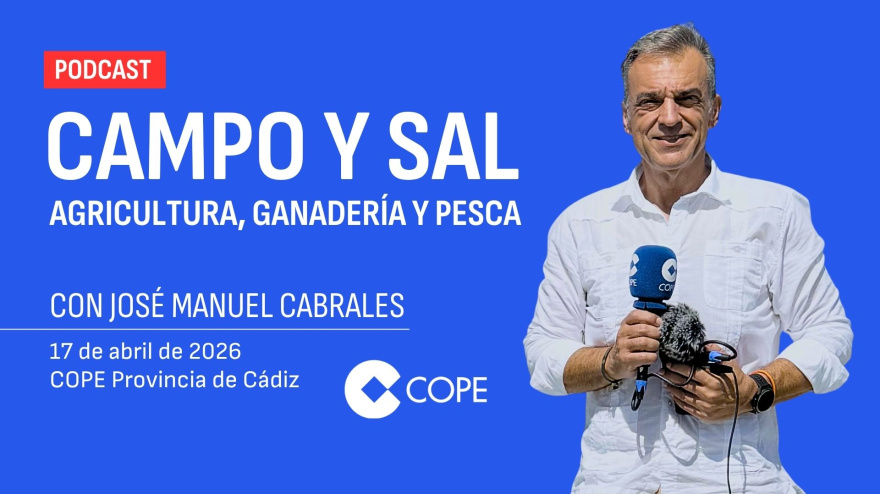 CAMPO Y SAL | 17 ABRIL 2026