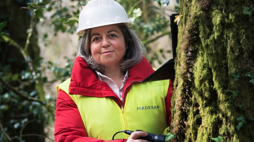 Esther Merlo destaca el trabajo de las mujeres en el sector forestal