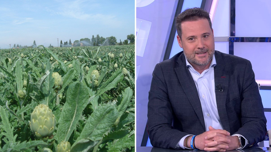 La verdura de Tudela se afianza como potencia nacional: "El 80% de la verdura congelada que consumimos en España sale de aquí"