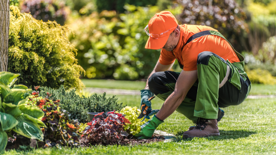 Foto de archivo de un hombre haciendo trabajos de jardinería