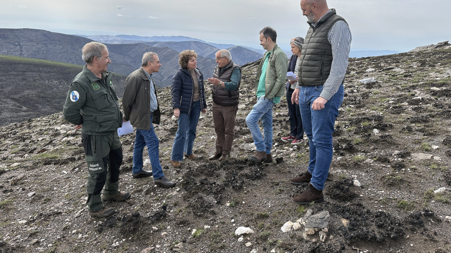 La directora xeral de Planificación e Ordenación Forestal, Luisa Piñeiro, visita las zonas afectadas por el incendio de Chandrexa de Queixa