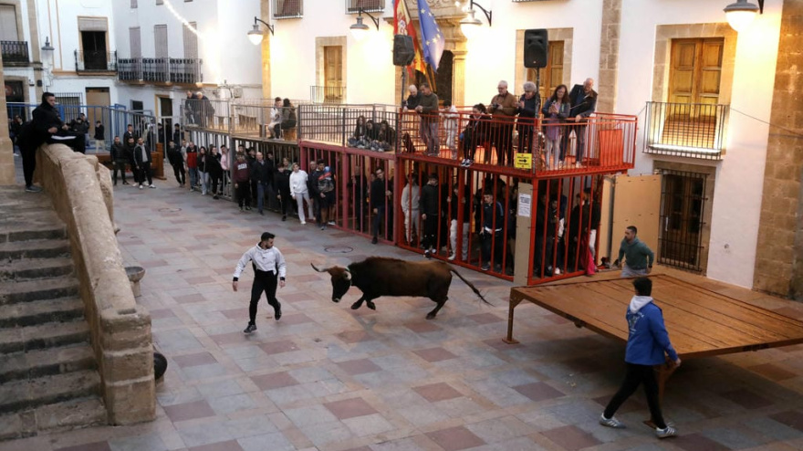 Xàbia recupera el "bou encaixonat" para las fiestas del Nazareno con garantías de bienestar animal