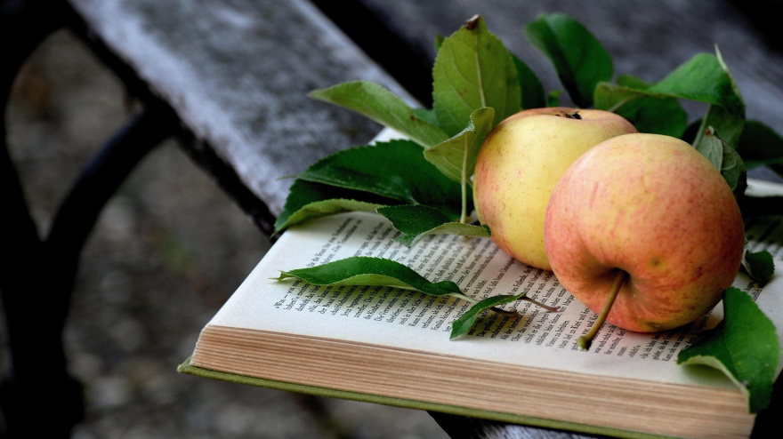 Dos manzanas sobre un libro
