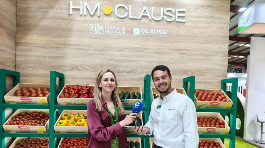 HM Clause presenta en ExpoLevante sus nuevas variedades resistentes a los virus