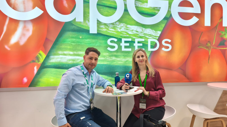 Capgen Seeds presenta Tentación, su nueva sandía negra, y el exitoso tomate Panoramics