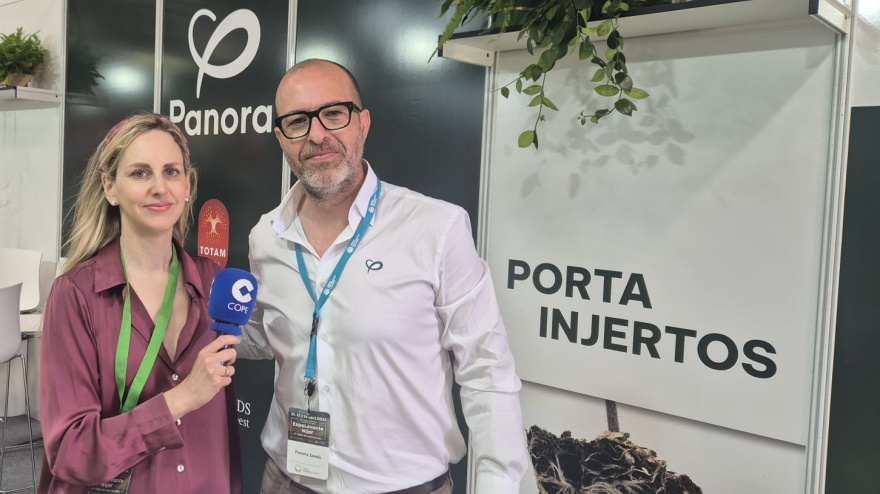 Panora Semillas irrumpe en ExpoLevante con su nueva genética para el campo