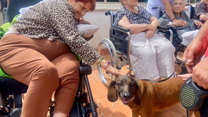 Residentes de La Bonanova con la unidad canina de los Bombers de Mallorca