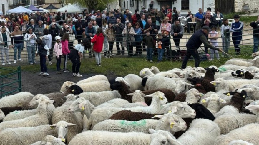 Feria de la Trashumancia de Almendral de la Cañada