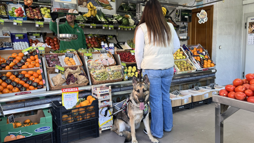 Los perros guía de Jaén alzan la voz: reclaman su derecho a entrar en supermercados y tiendas de alimentación