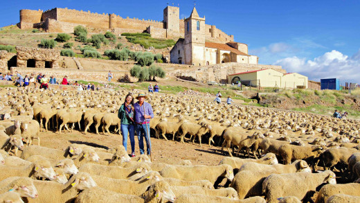 Trashumancia Camino