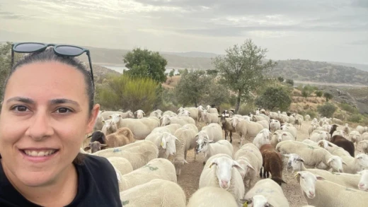 Patricia ayudando a parir a sus ovejas