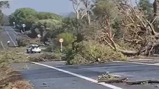 Corte de la N-431 tras el paso del tornado en Huelva