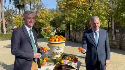 Naranjas del Alcázar