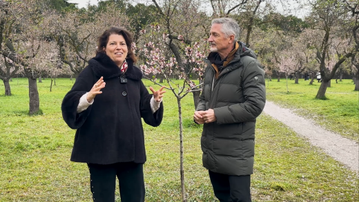 Fernando Valladares señala el efecto del cambio climático en los almendros