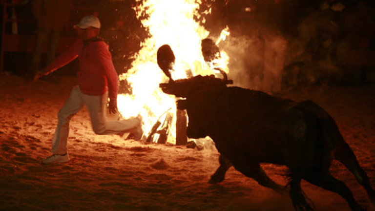 Celebración del Toro Jubilo en Medinaceli