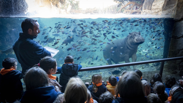 Expedición África - Escuela de vacaciones BIOPARC Valencia - curso especialistas en hipopotamos