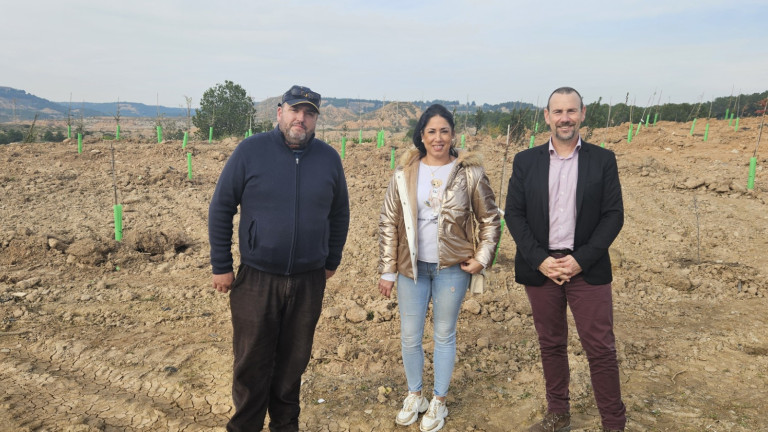 Nueva plantación de árboles en Tudela