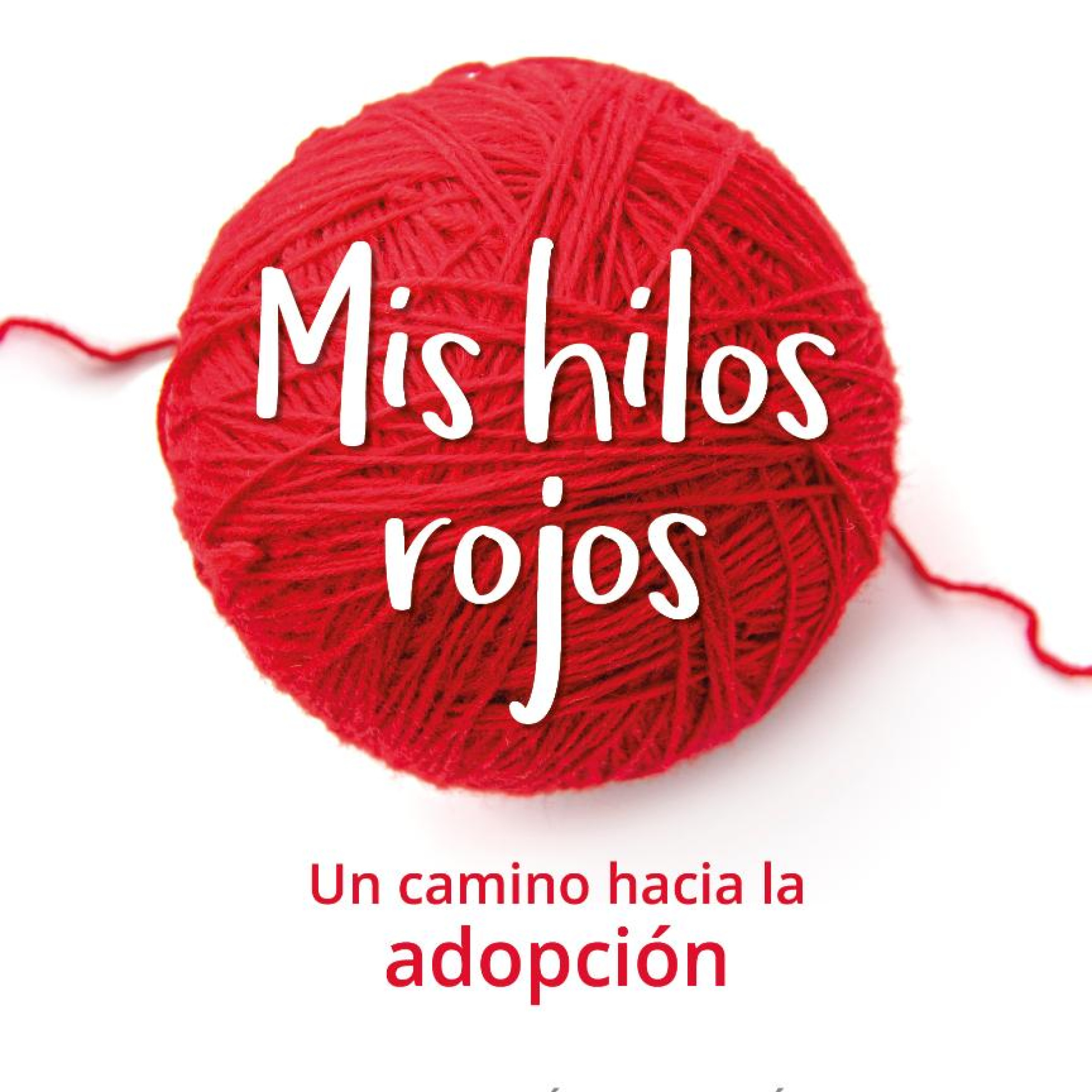 Portada de A Grandes Trazos