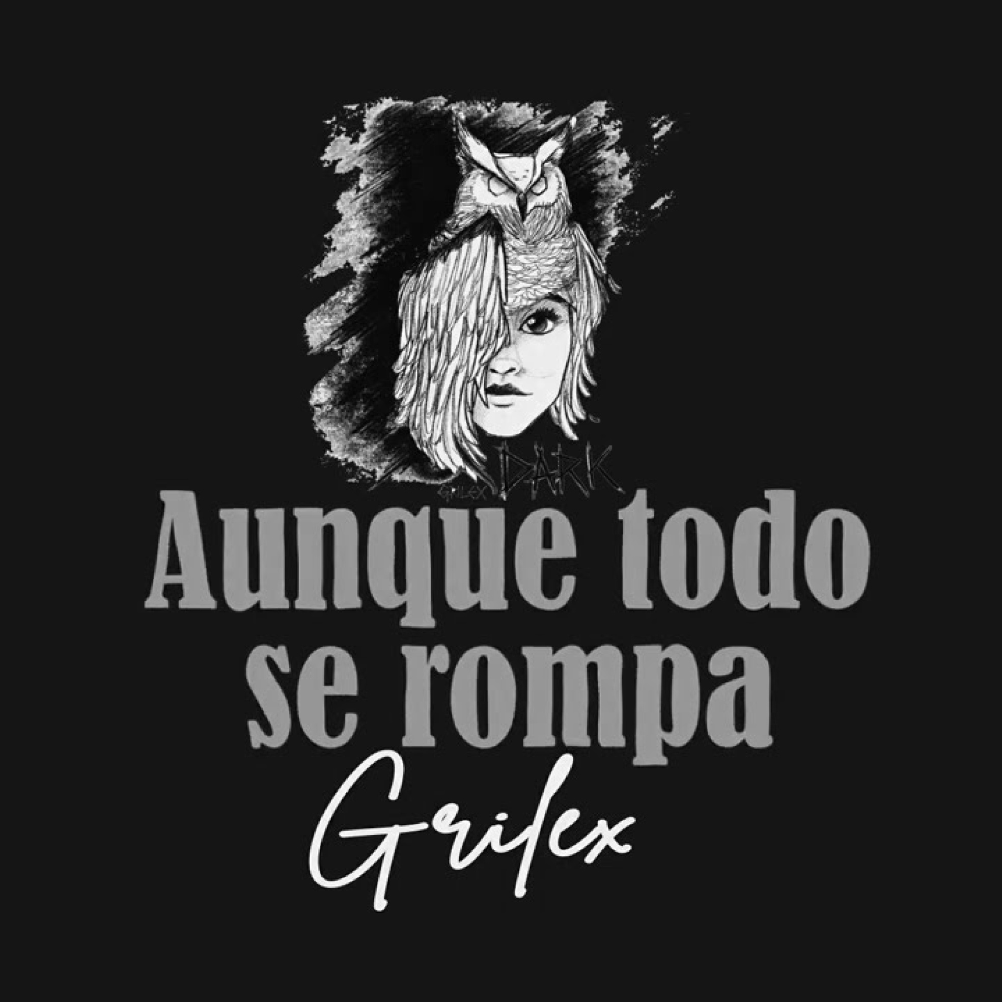 Portada de A Grandes Trazos