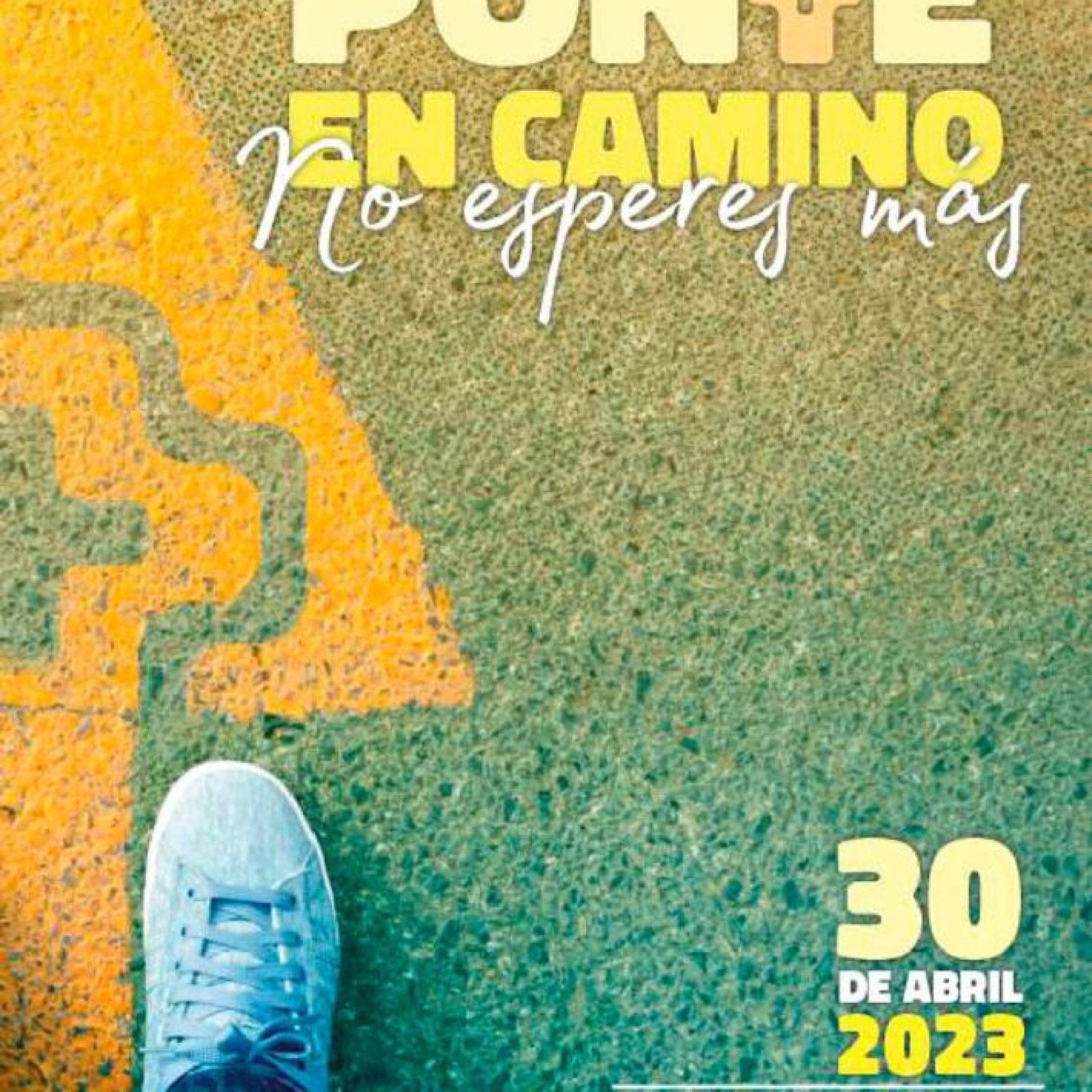 Portada de A Grandes Trazos