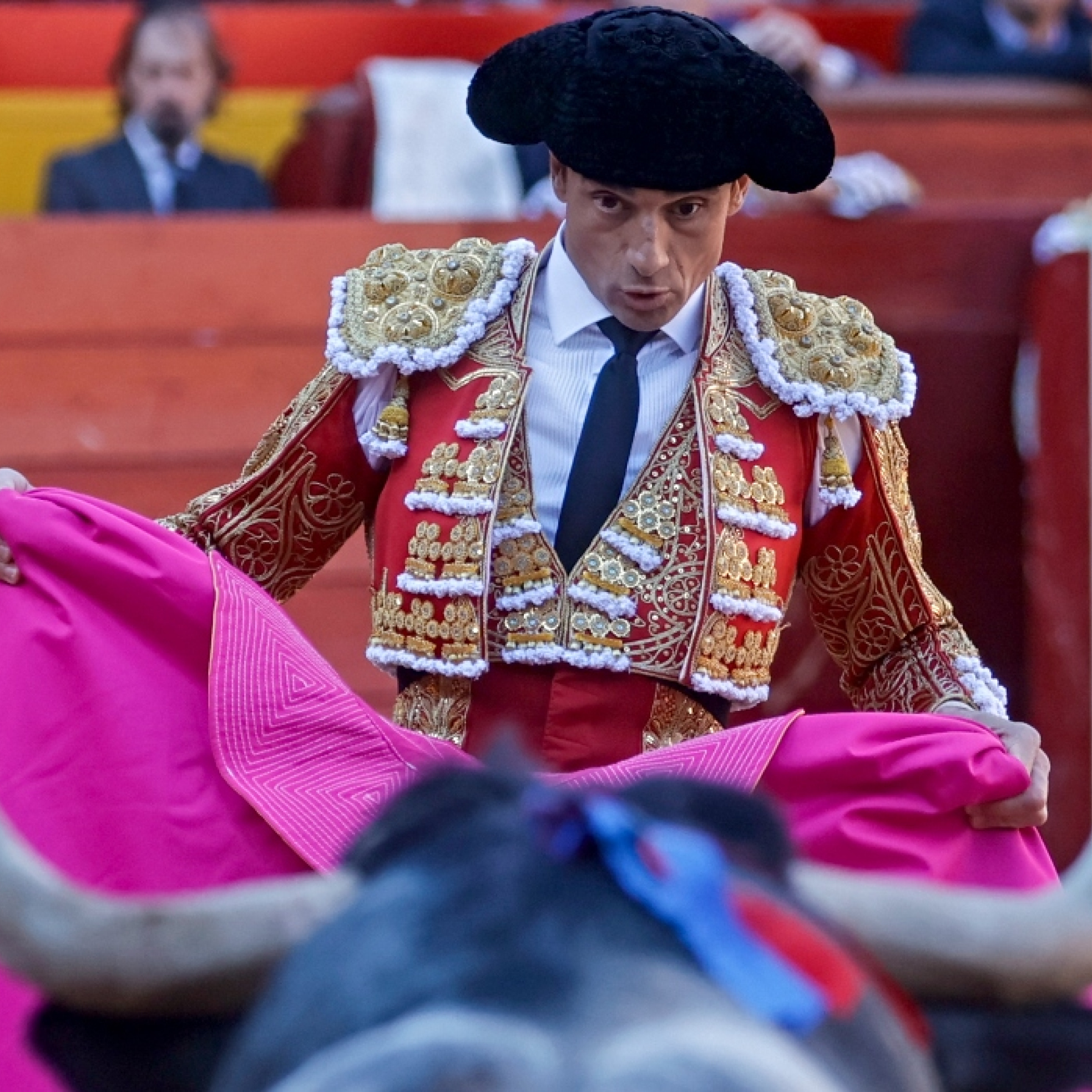 Portada de El Albero