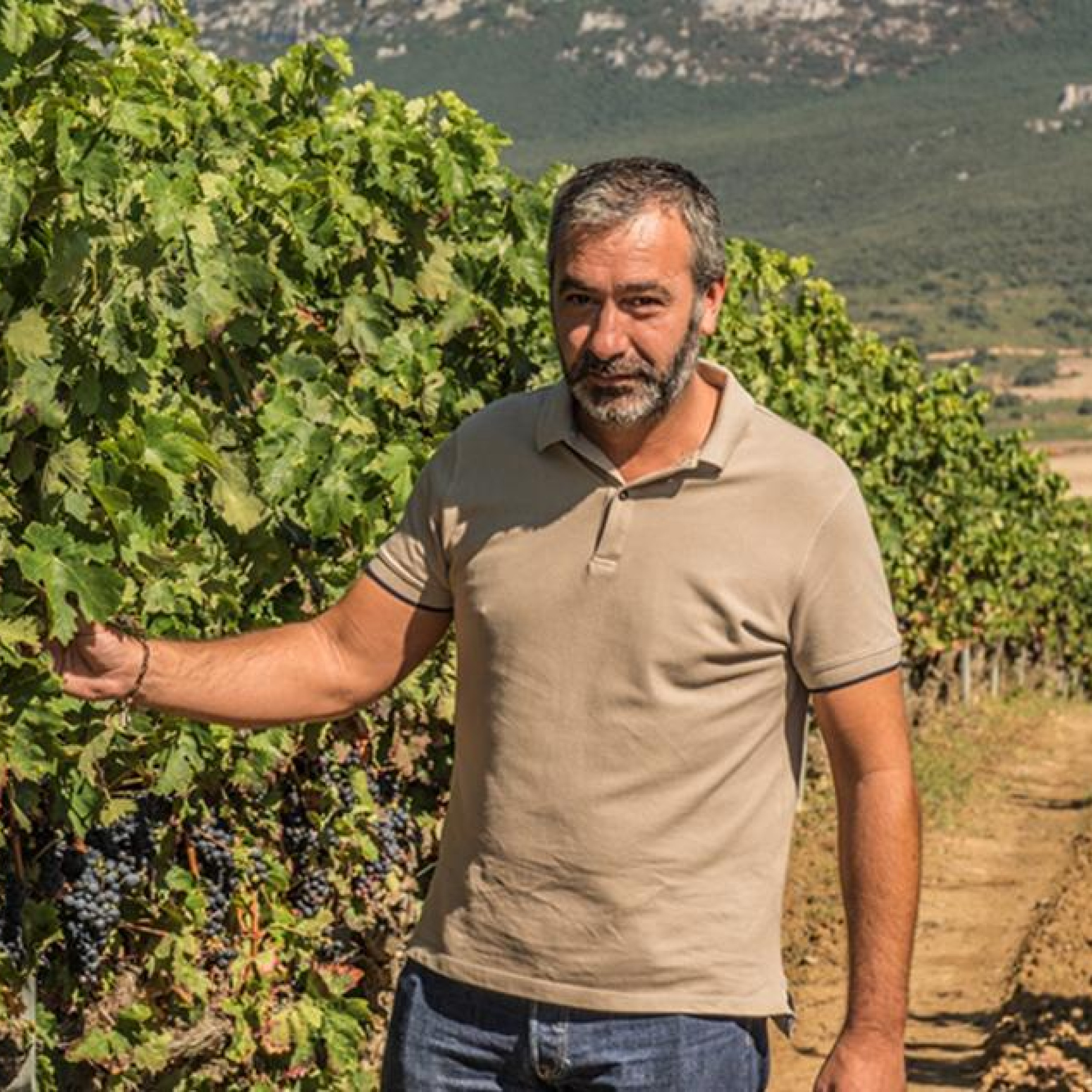 Carlos San Pedro (Pujanza): “Un buen vino tiene que gustar al crítico y al carnicero”
