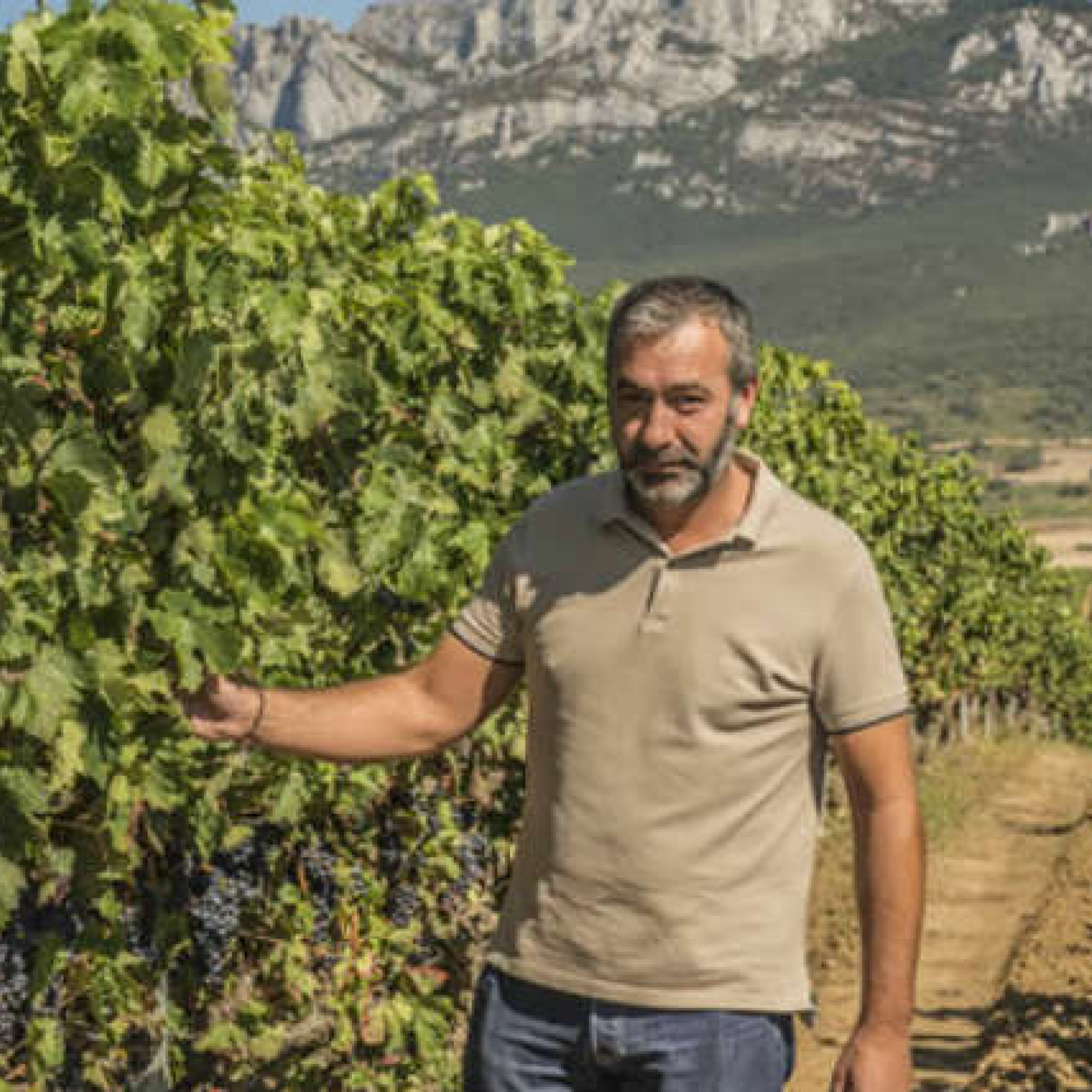 Carlos San Pedro es el propietario de Bodegas Pujanza, en 'Oído Cocina'