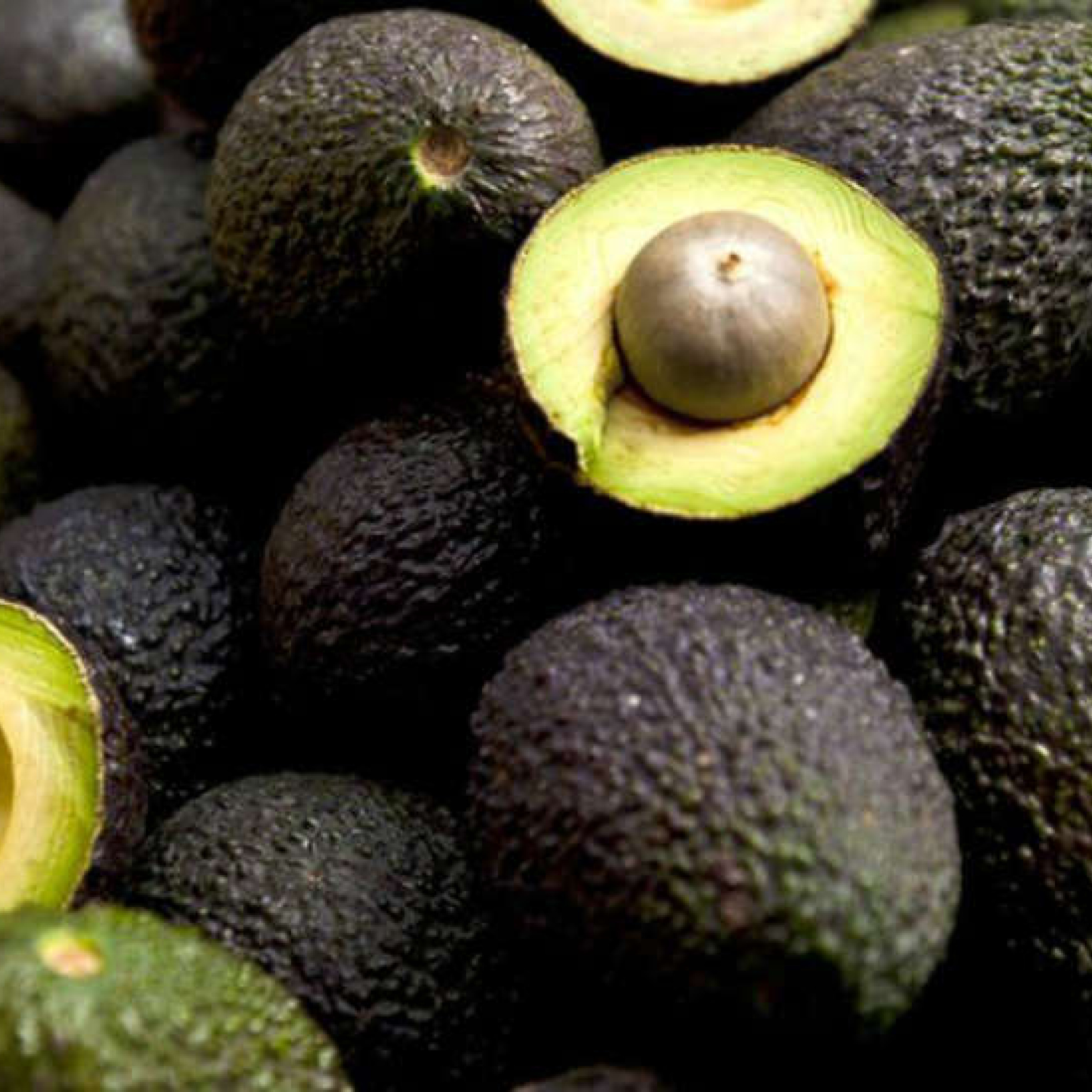 Oído Cocina: Especial aguacate