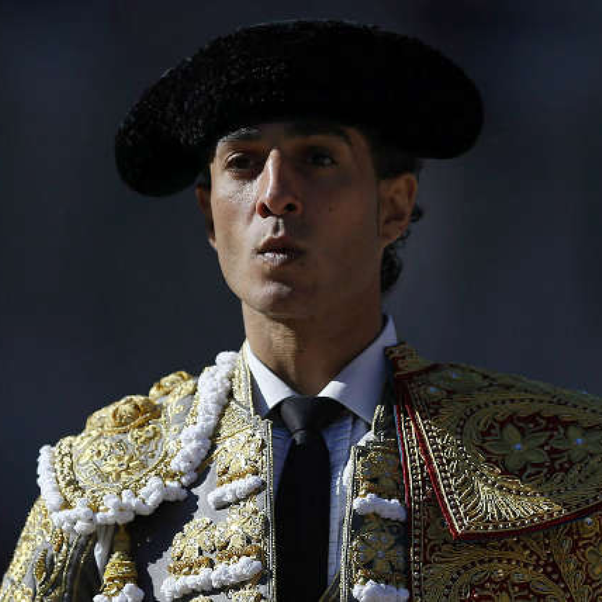 Portada de El Albero