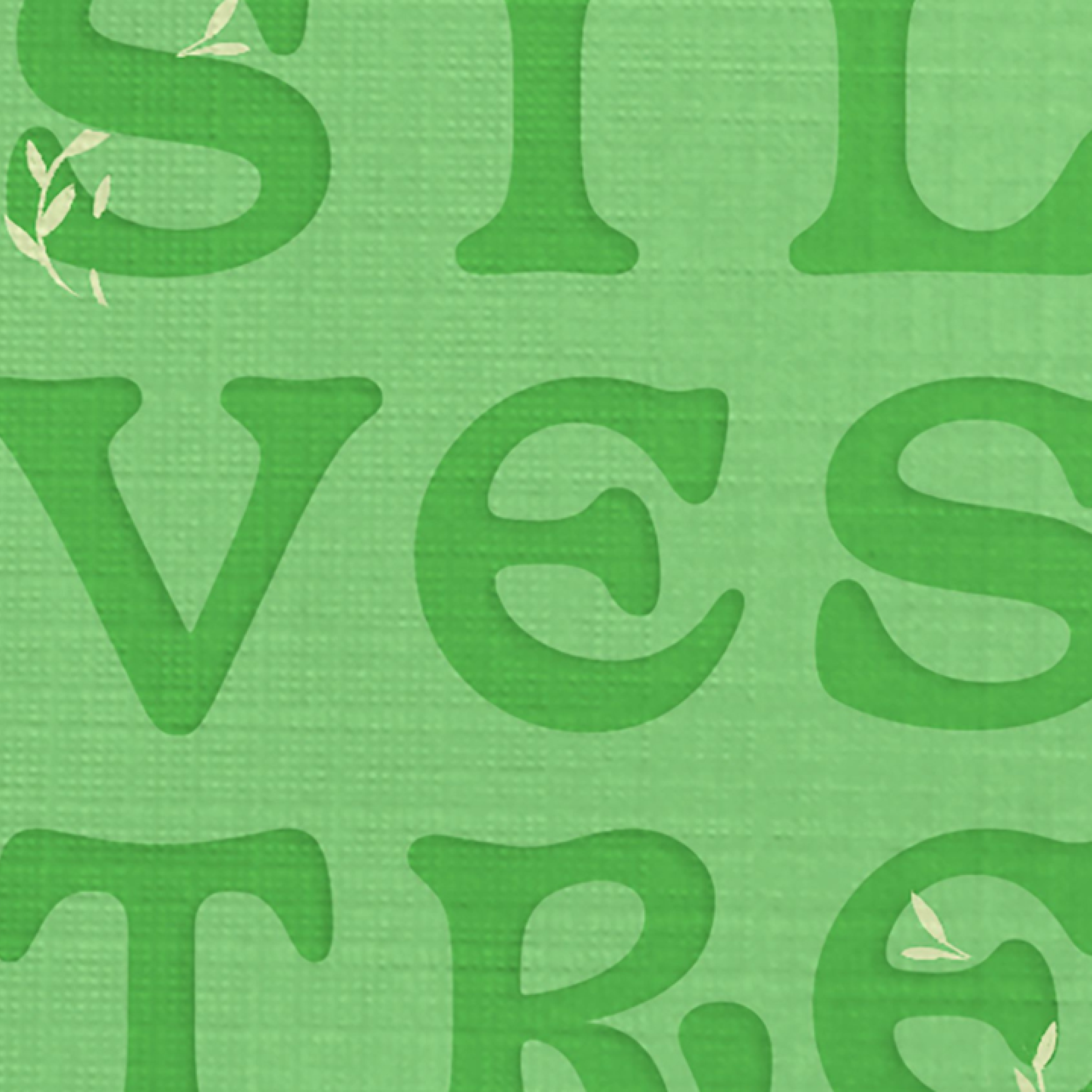 Conocemos 'Silvestre': el libro que te lo cuenta todo sobre la gastronomía de las plantas