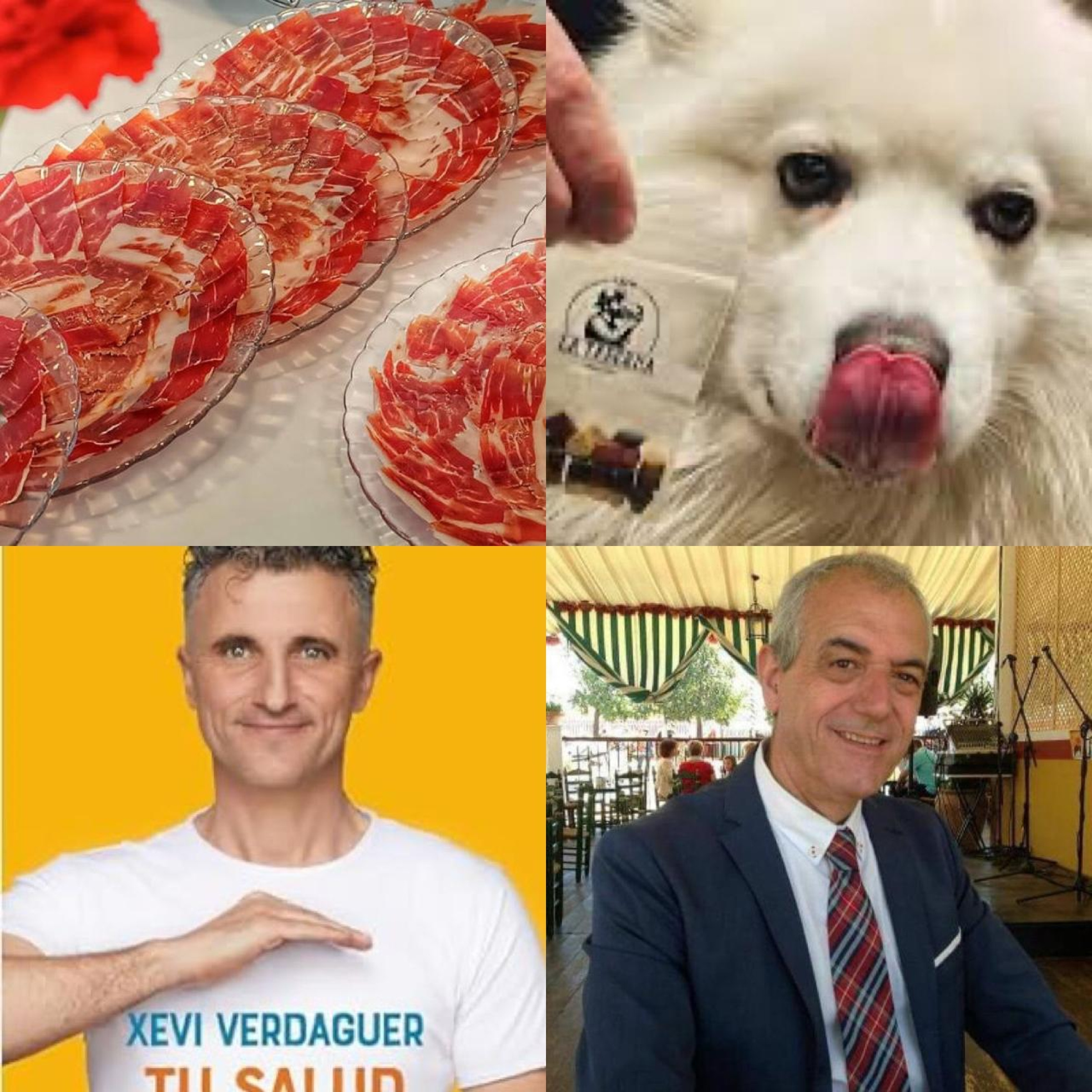 Cómo catar agua, la importancia del intestino, tapas para perros y barómetro del jamón