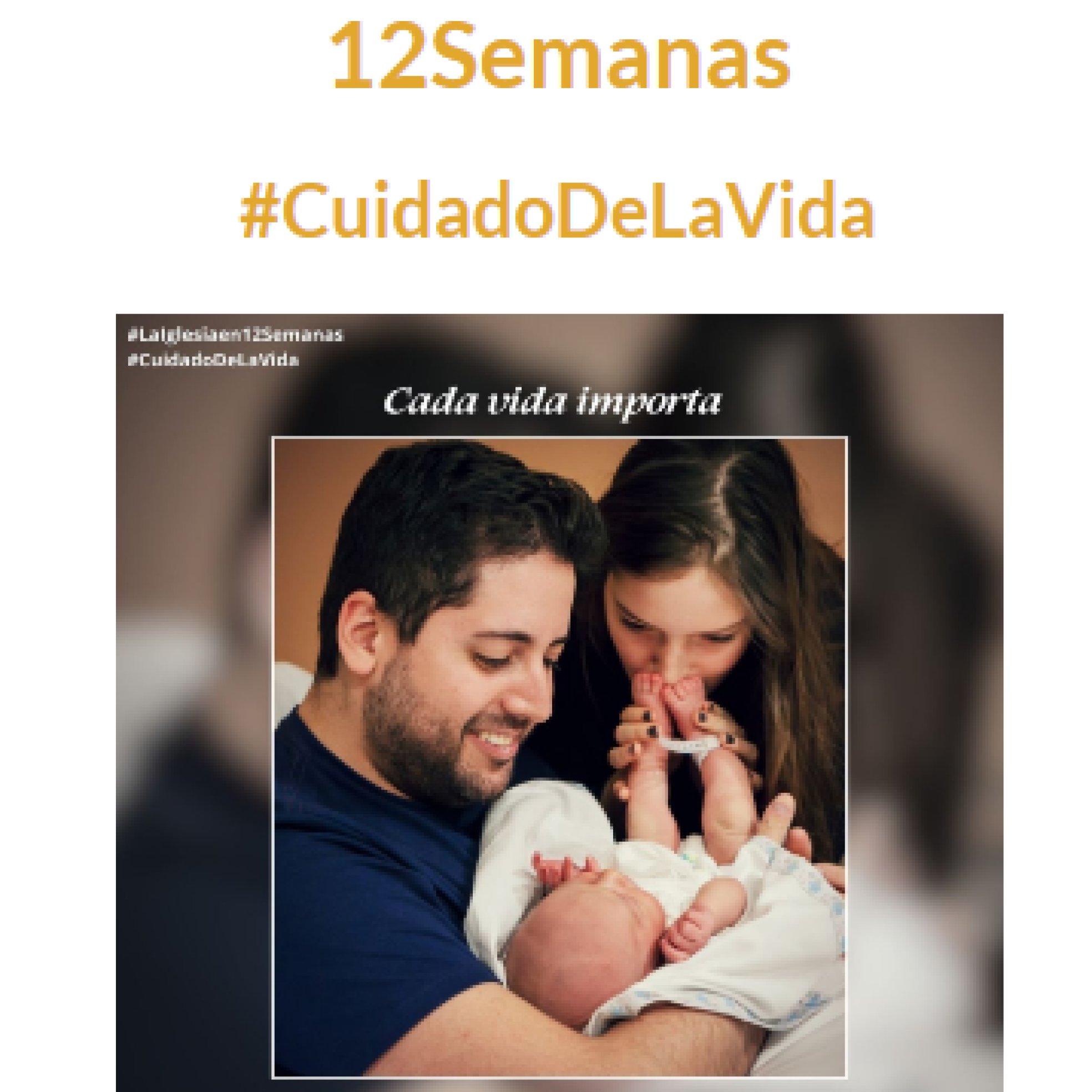 Portada de A Grandes Trazos