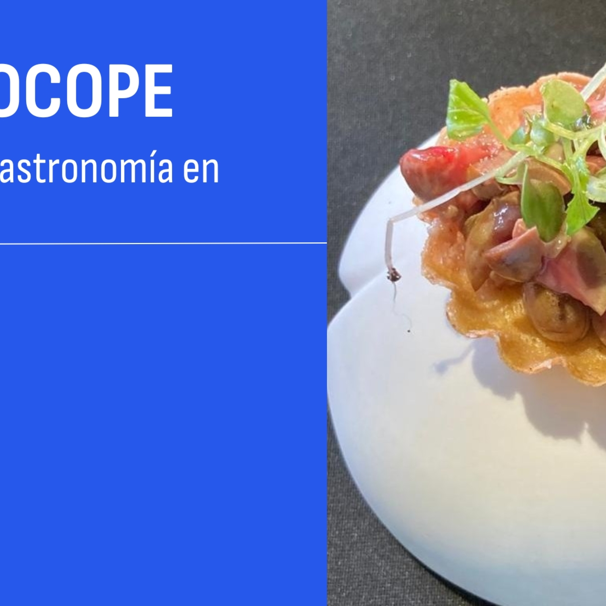 GASTROCOPE CASTELLÓN | 16 JUL 2026 episode artwork