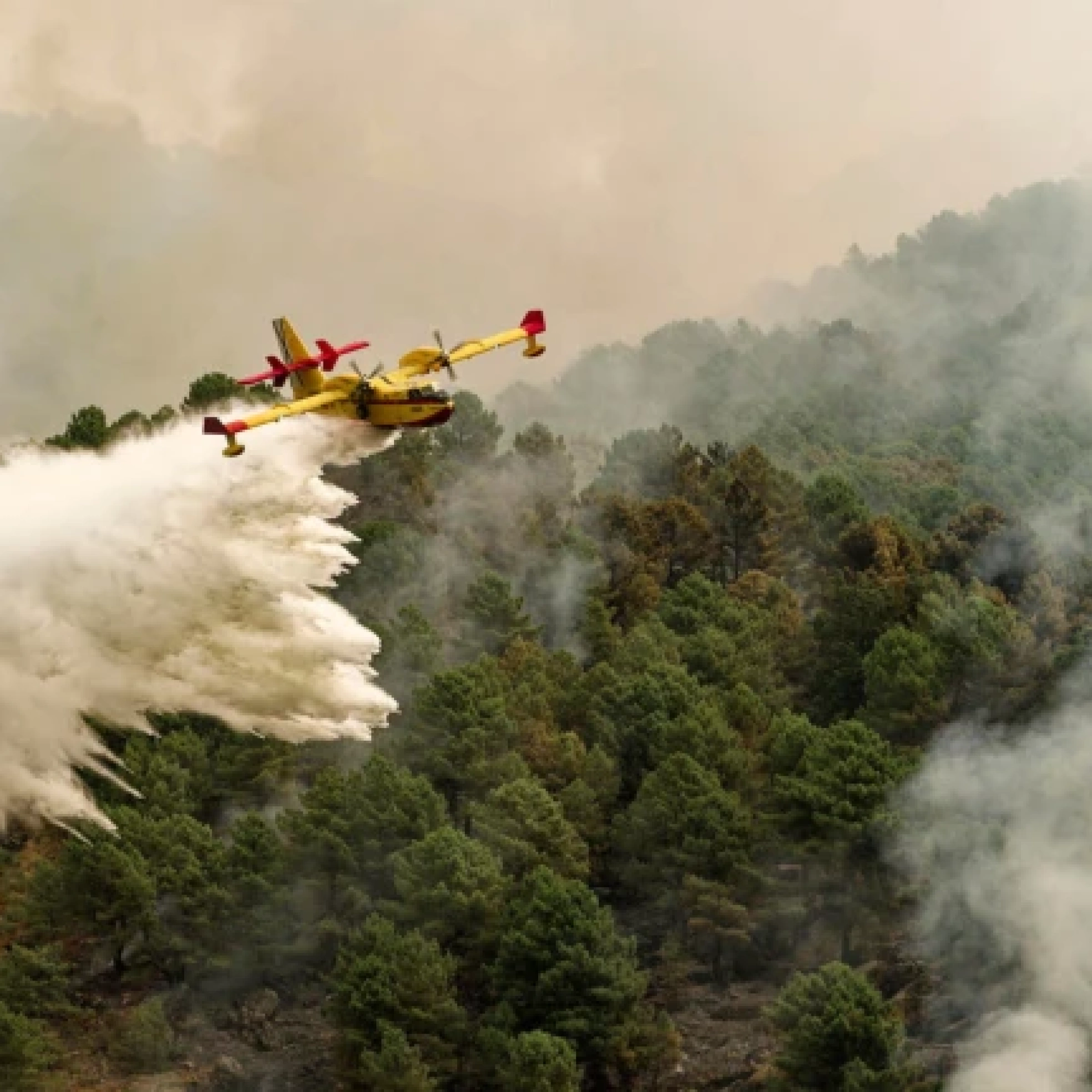 "El kit antiincendios cuesta entre 1 y 6 millones de euros; prácticamente un 1% del coste de un Airbus. El análisis coste-beneficio es favorable a la inversión"