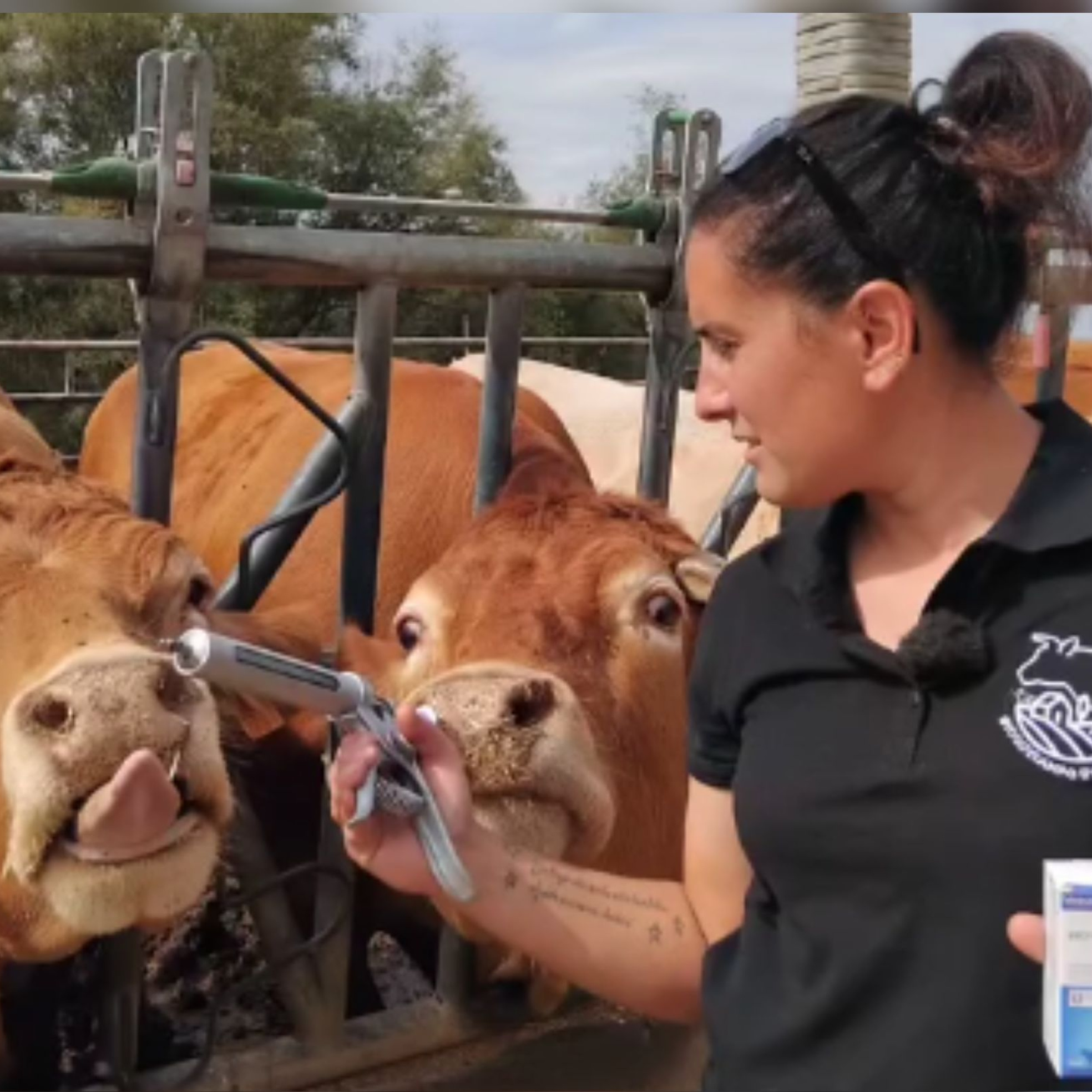Beatriz Sancho, ganadera y veterinaria de Monzón (Huesca): "Aunque parezca que no, los animales pueden transmitir mucho más que incluso algunas personas"