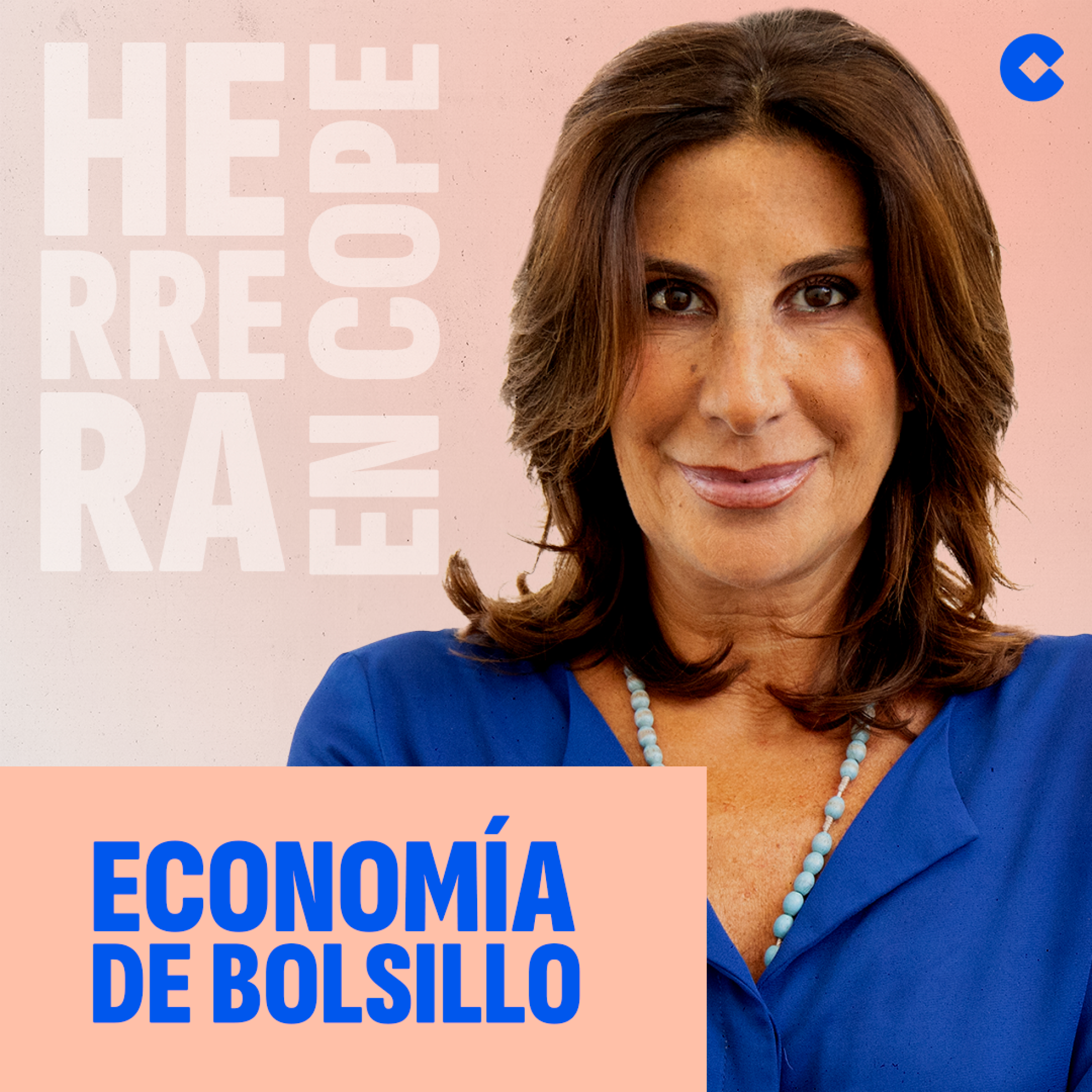 El esfuerzo de comprar una vivienda | Economía de Bolsillo episode artwork